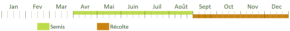 Calendrier de culture Calendrier de culture
